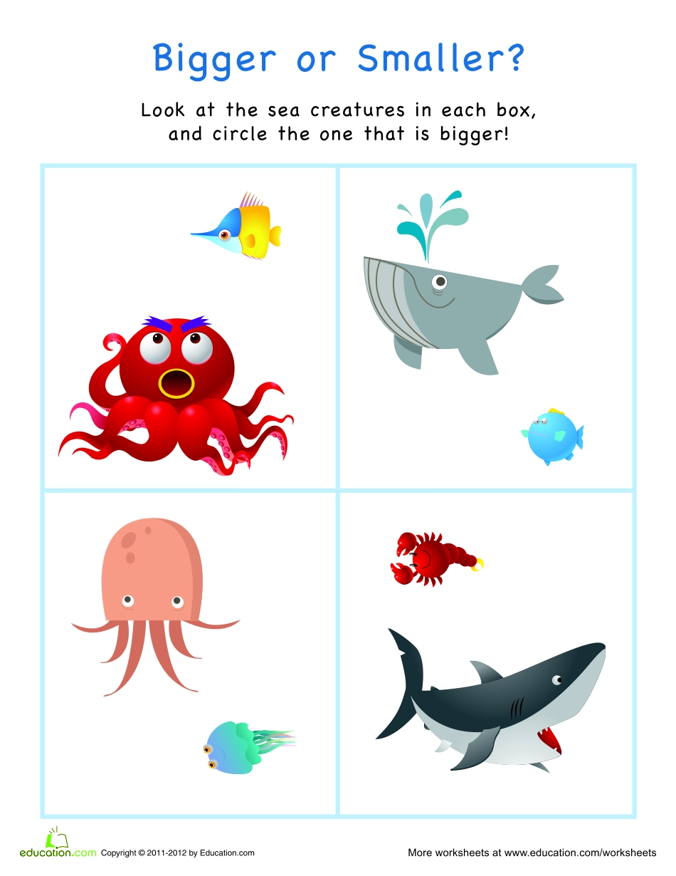 under the sea math 海洋之下 [jiaoyupan.com].pdf_第3页