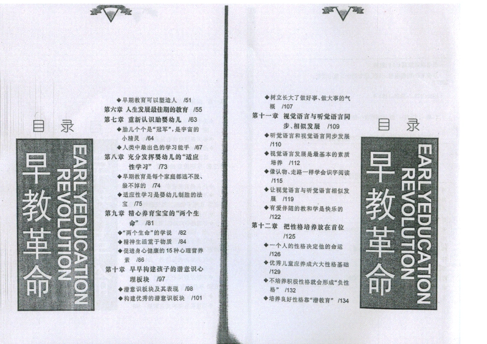 早教革命3--.pdf_第2页