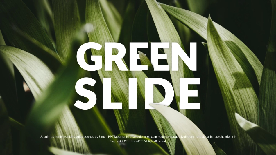 【模板2】Organic：非转基因有机模板.pdf_第1页