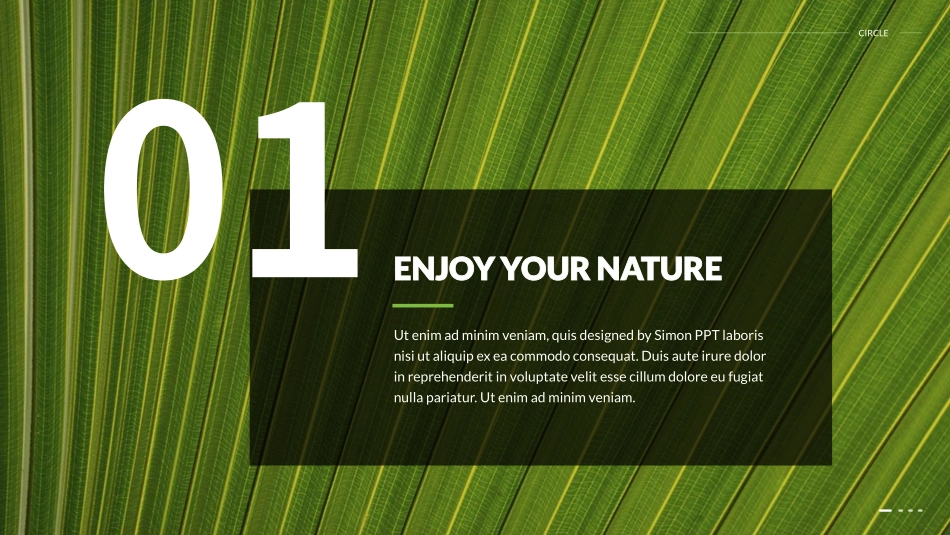 【模板2】Organic：非转基因有机模板.pdf_第3页