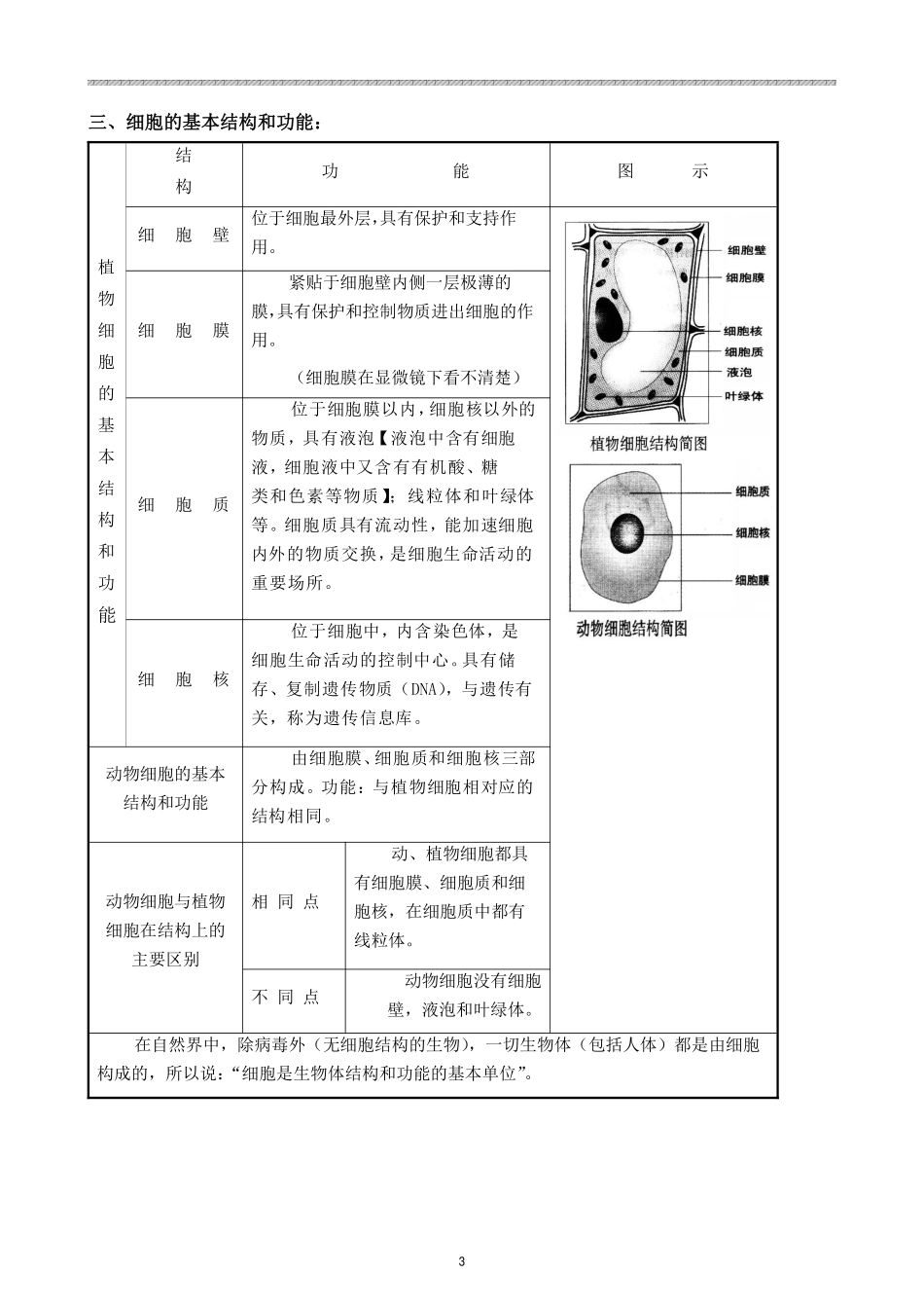 七年级上知识点总结.pdf_第3页