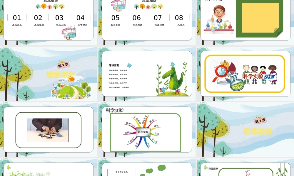 10小学作文—实验篇.pptx