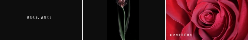 L东湖藏本(1).ppt