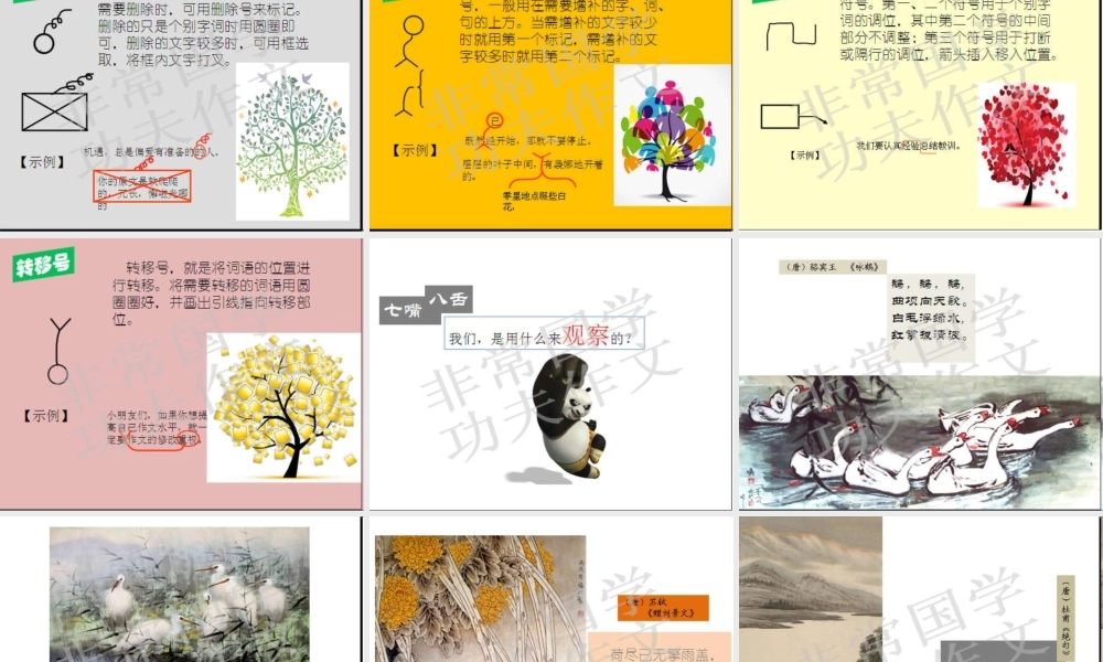 初级班第二讲.ppt