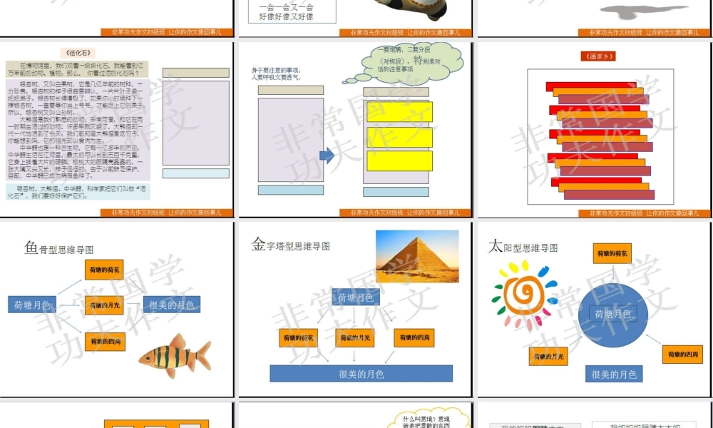 初级班第十讲.ppt