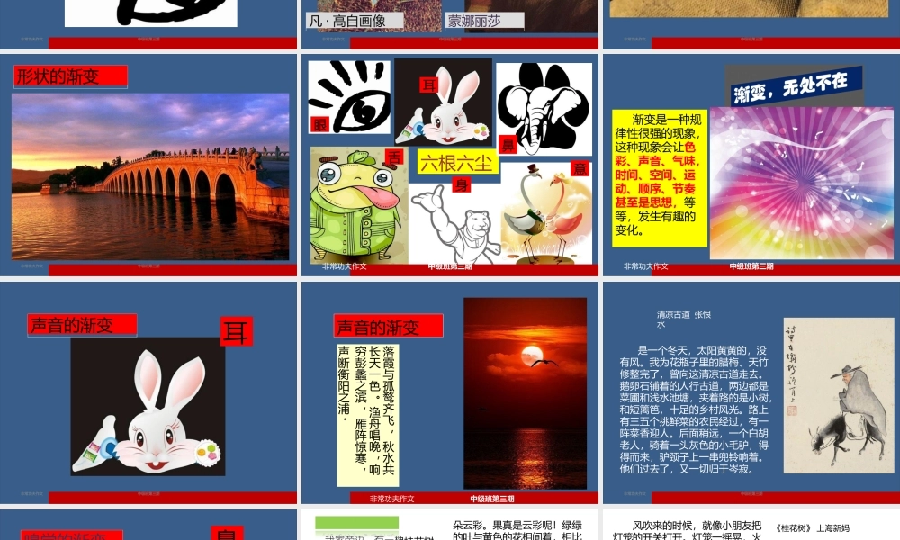 第九讲对比反差.pptx