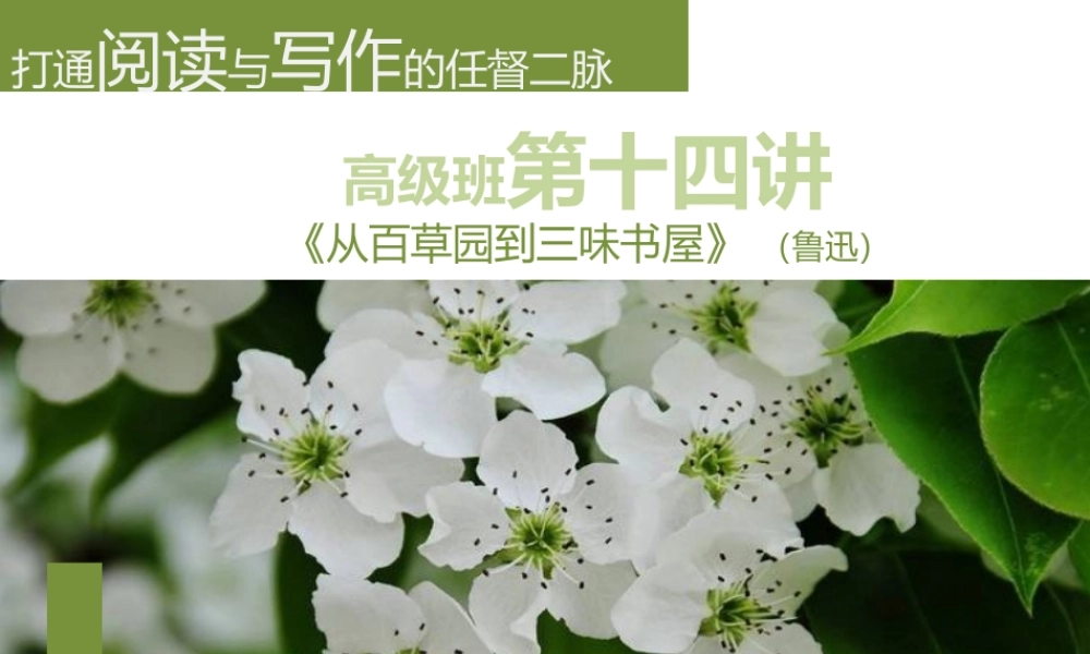 一期高级班第十四讲.pptx