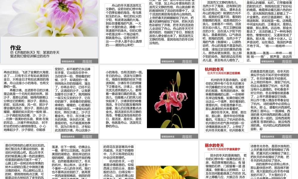 一期高级班第十二讲.pptx