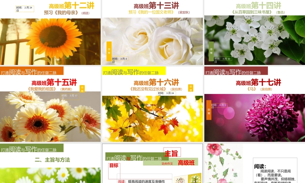 一期高级班第十八讲.pptx