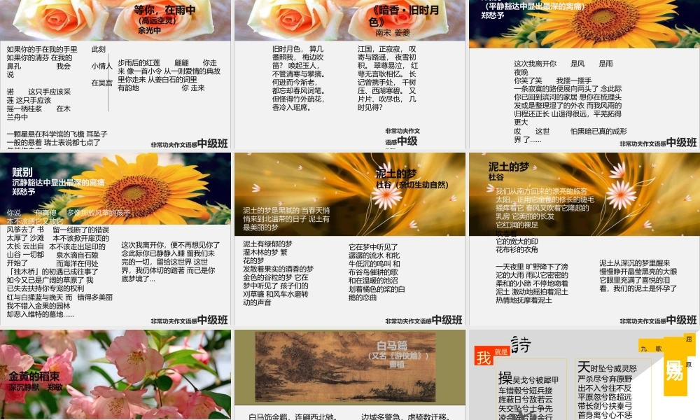 中级语感班第八讲.pptx