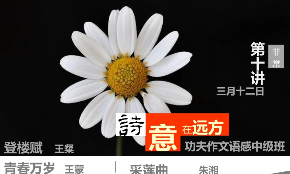 中级语感班第十讲.pptx