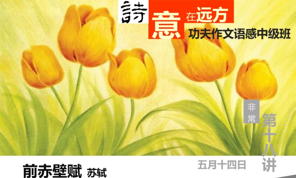 中级语感班第十八讲.pptx