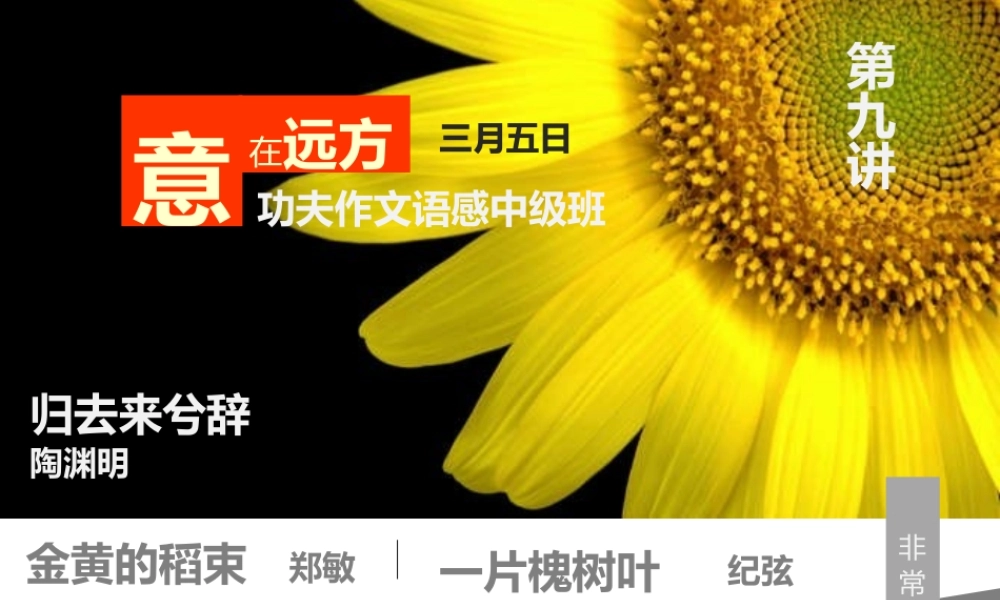 中级语感班第九讲.pptx