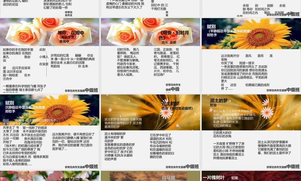 中级语感班第九讲.pptx