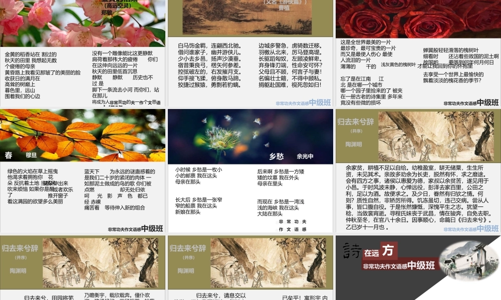 中级语感班第九讲.pptx