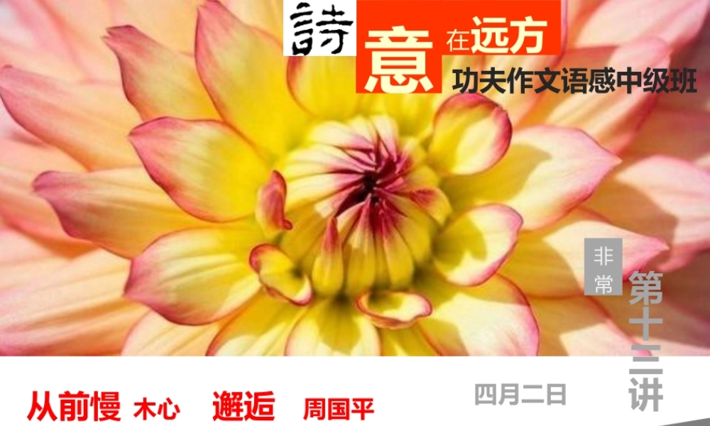 中级语感班第十三讲.pptx