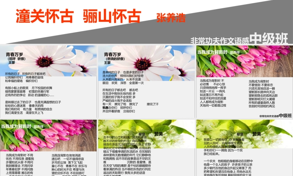 中级语感班第十三讲.pptx