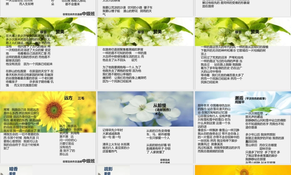 中级语感班第十三讲.pptx