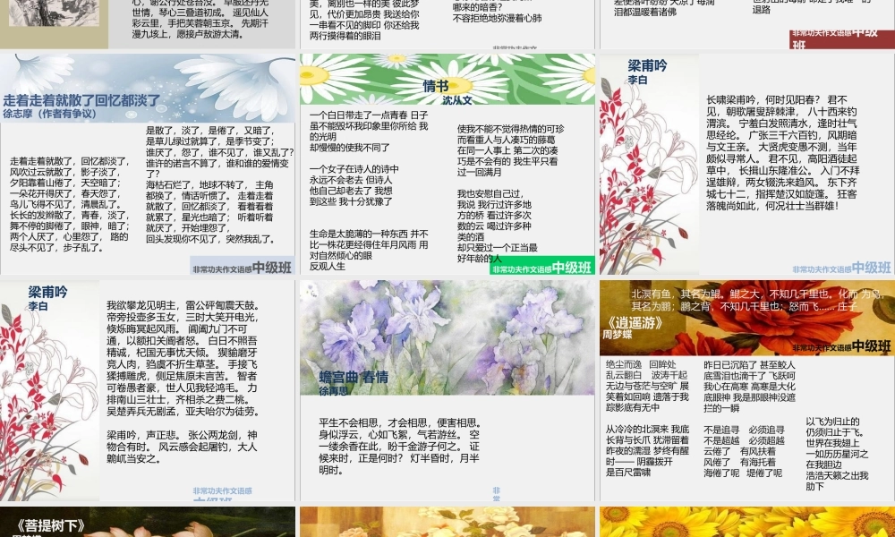 中级语感班第五讲.pptx