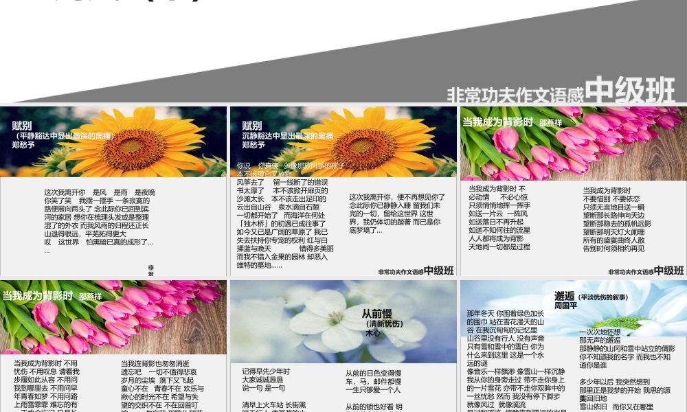 中级语感班第十五讲.pptx