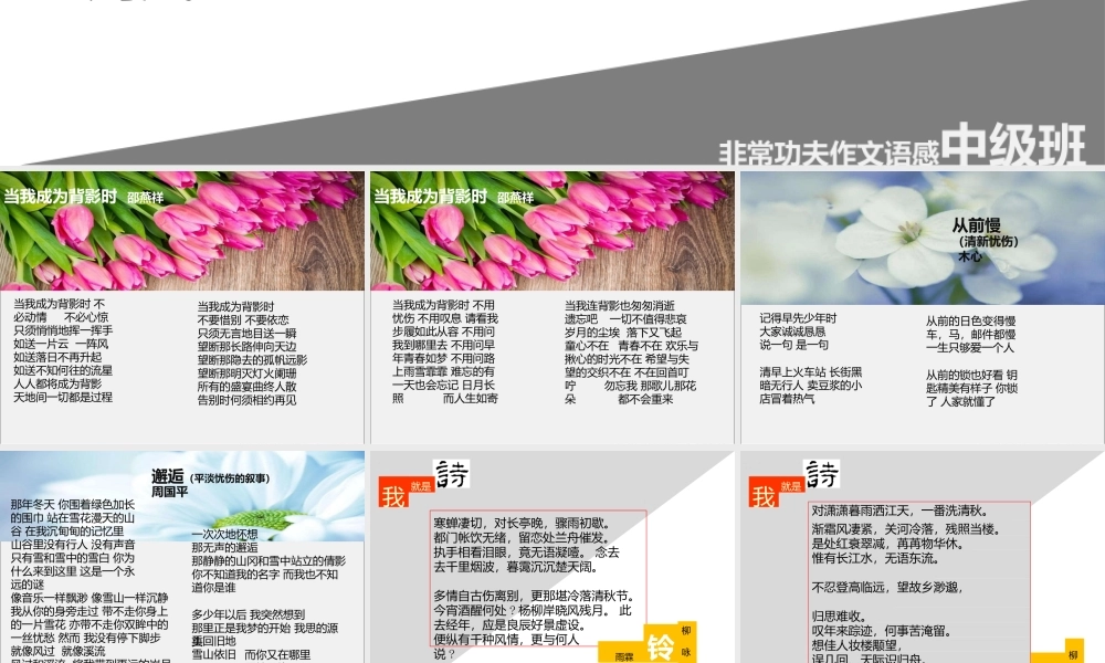 中级语感班第十四讲.pptx