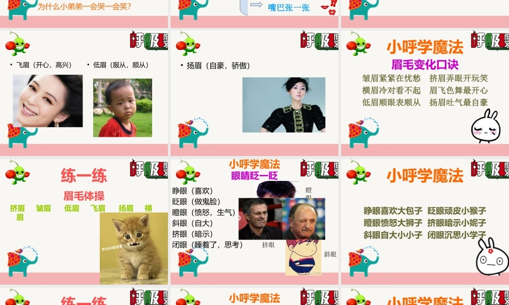 8.第五站第一节我的五官会说话.ppt