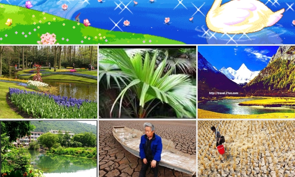 假如小河干涸(五年级语文作文教学)（猪猪喜羊羊）.ppt