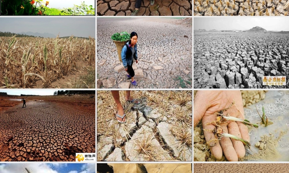 假如小河干涸(五年级语文作文教学)（猪猪喜羊羊）.ppt