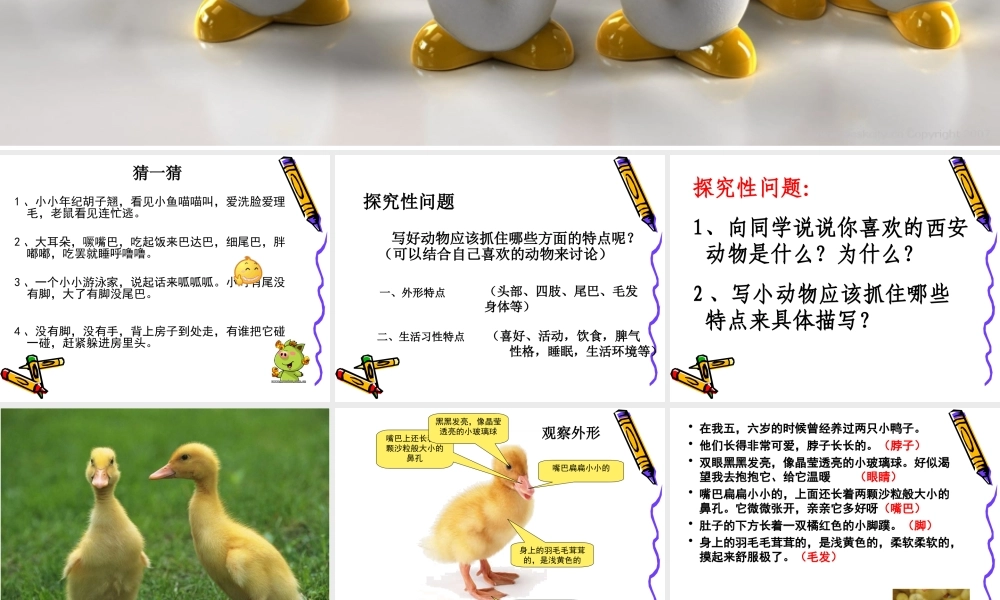 六年级单元七作文（猪猪喜羊羊）.ppt