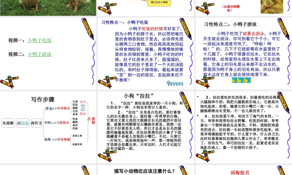 六年级单元七作文（猪猪喜羊羊）.ppt