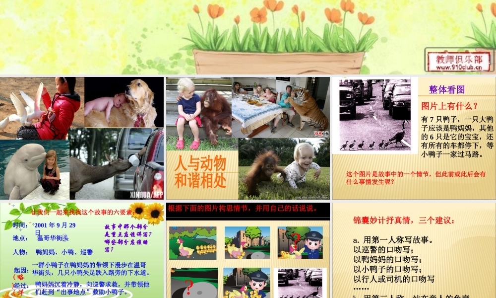 六年级上册第七单元习作（猪猪喜羊羊）.ppt