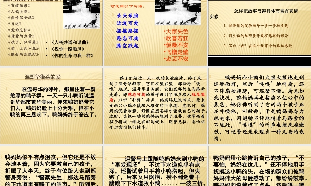 六年级上册第七单元习作（猪猪喜羊羊）.ppt
