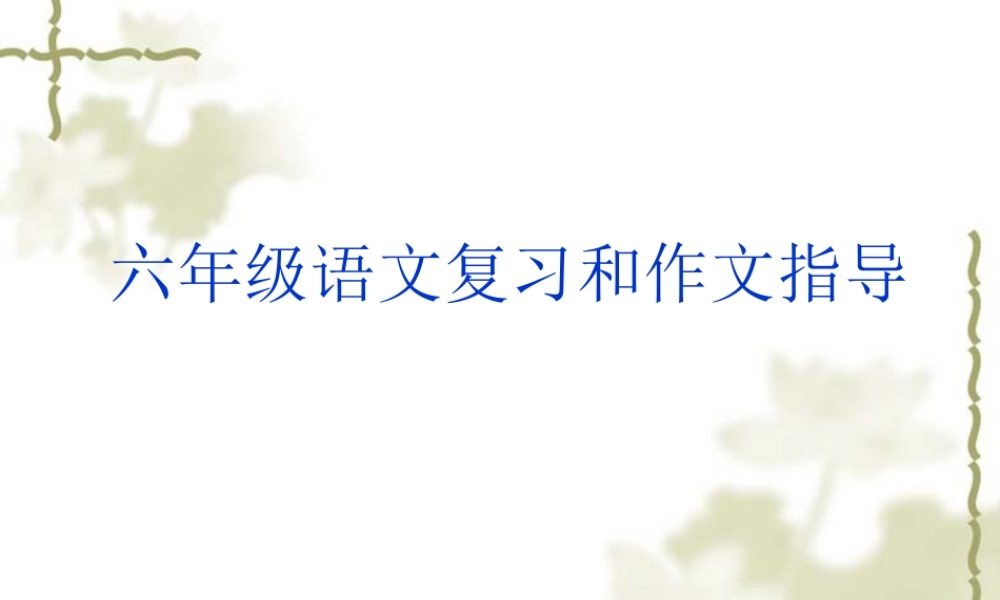 六年级语文复习和作文指导（猪猪喜羊羊）.ppt