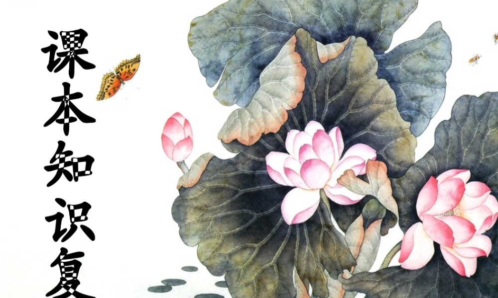 六年级写人事物作文（猪猪喜羊羊）.ppt