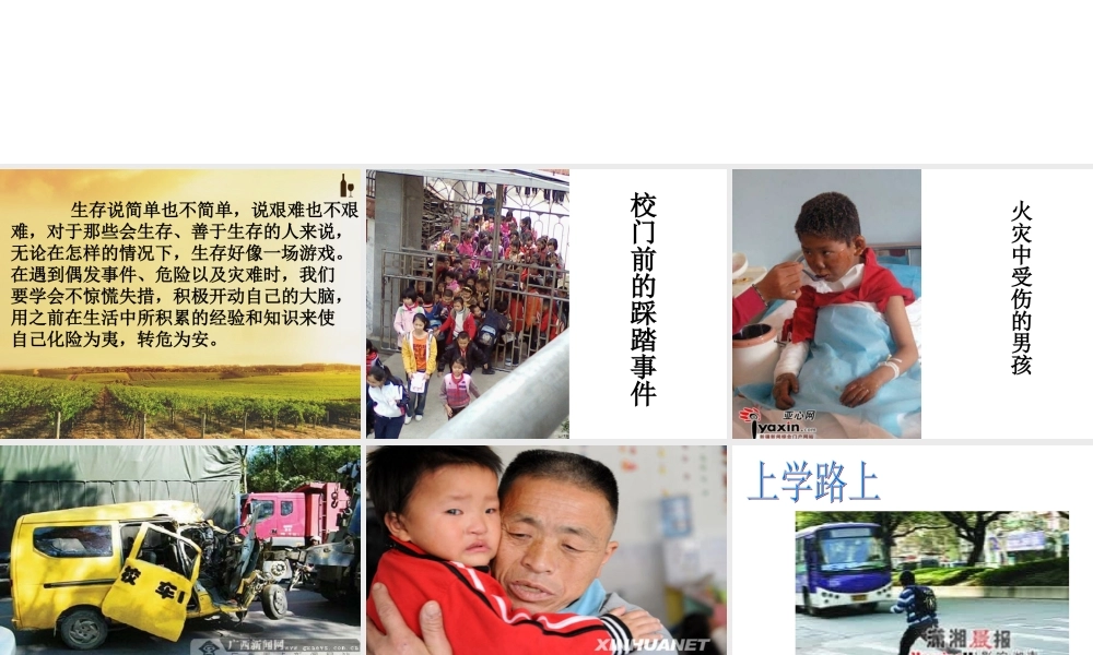 六年级语文下册第四单元作文学会生存（猪猪喜羊羊）.ppt