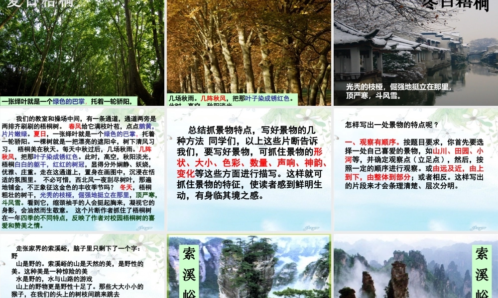 六年级作文专题一景物描绘（猪猪喜羊羊）.ppt