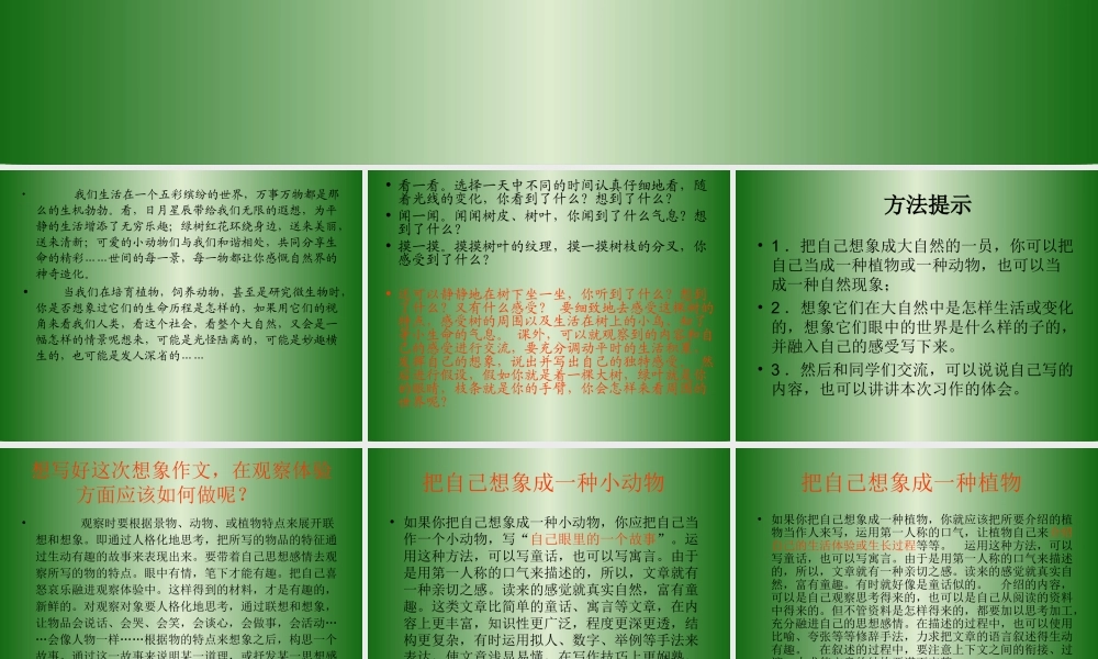 人教版六年级上册第一单元作文（猪猪喜羊羊）.ppt