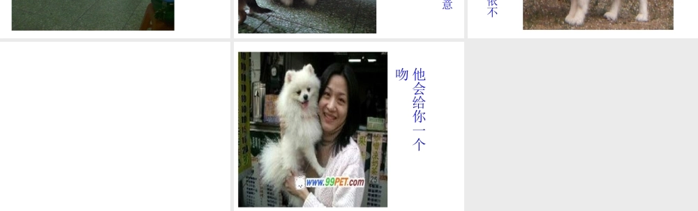 人教版四年级上册作文课件狗（猪猪喜羊羊）.ppt