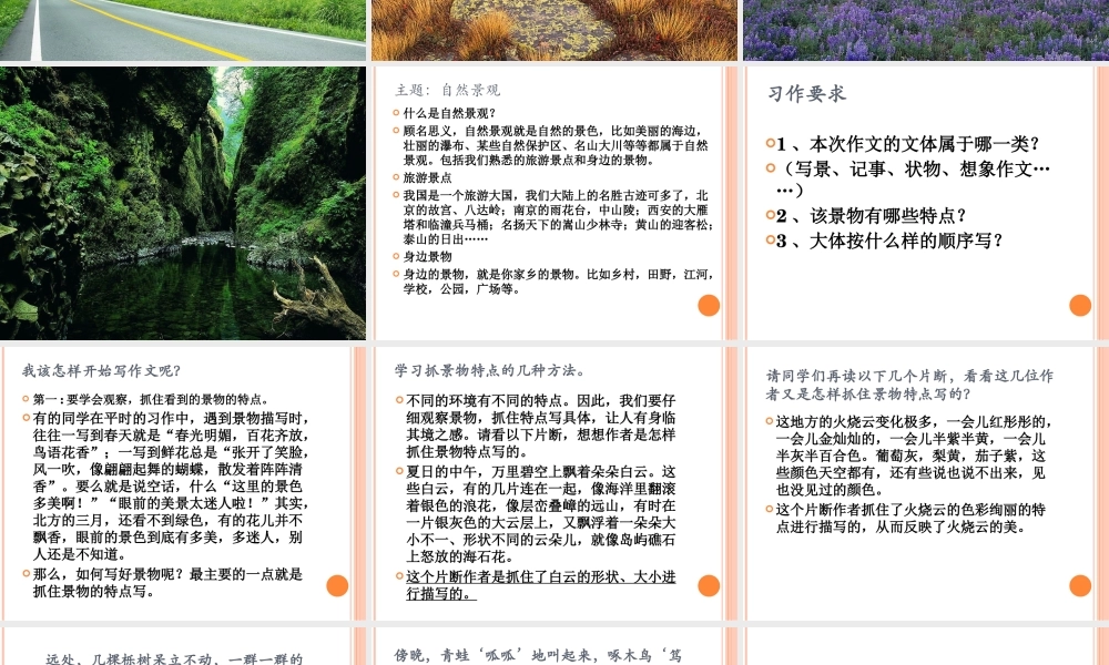 人教版四年级语文上册第一单元作文_PPT（猪猪喜羊羊）.ppt