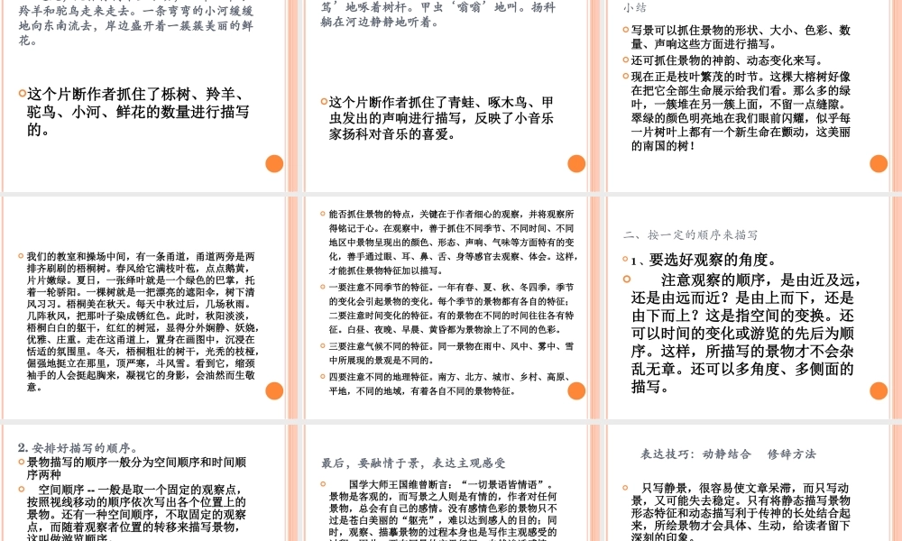 人教版四年级语文上册第一单元作文_PPT（猪猪喜羊羊）.ppt