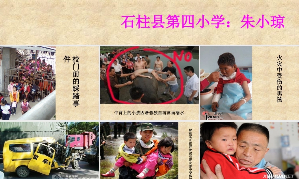 人教版小学六年级下册第四单元口语交际与习作《学会生存》（猪猪喜羊羊）.ppt