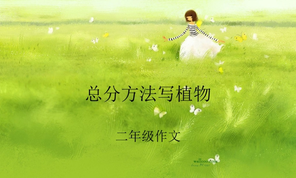 人教版小学二年级作文 (1)（猪猪喜羊羊）.ppt