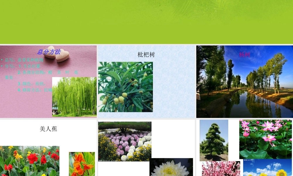 人教版小学二年级作文 (1)（猪猪喜羊羊）.ppt