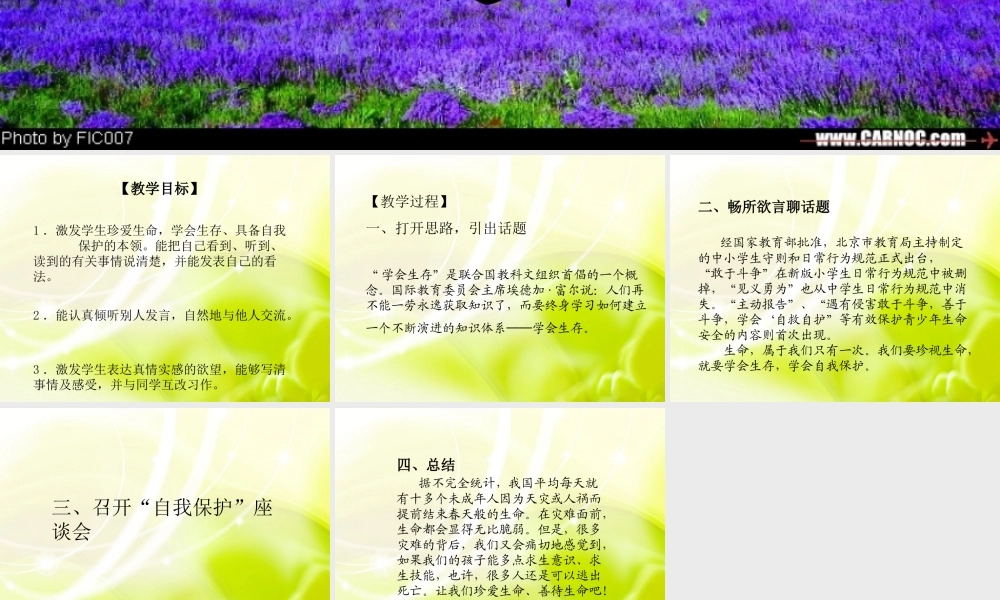 人教版小学语文第十二册单元四《口语交际·作文》（猪猪喜羊羊）.ppt