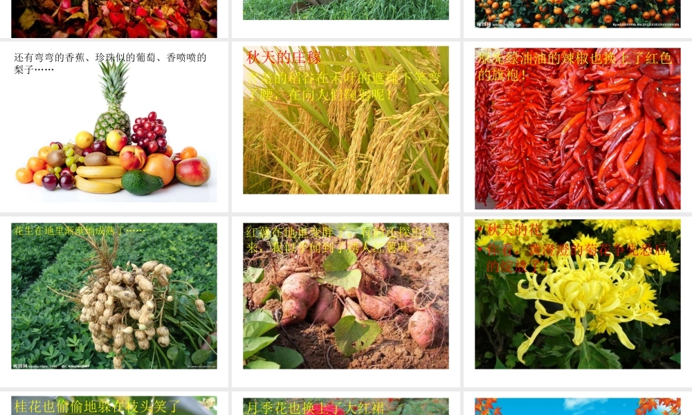 三年级上册第三单元 秋天的图画 2（猪猪喜羊羊）.ppt