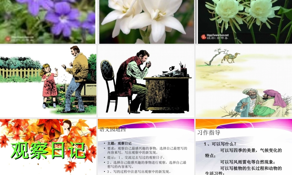 三年级上册第四单元 观察日记 1（猪猪喜羊羊）.ppt