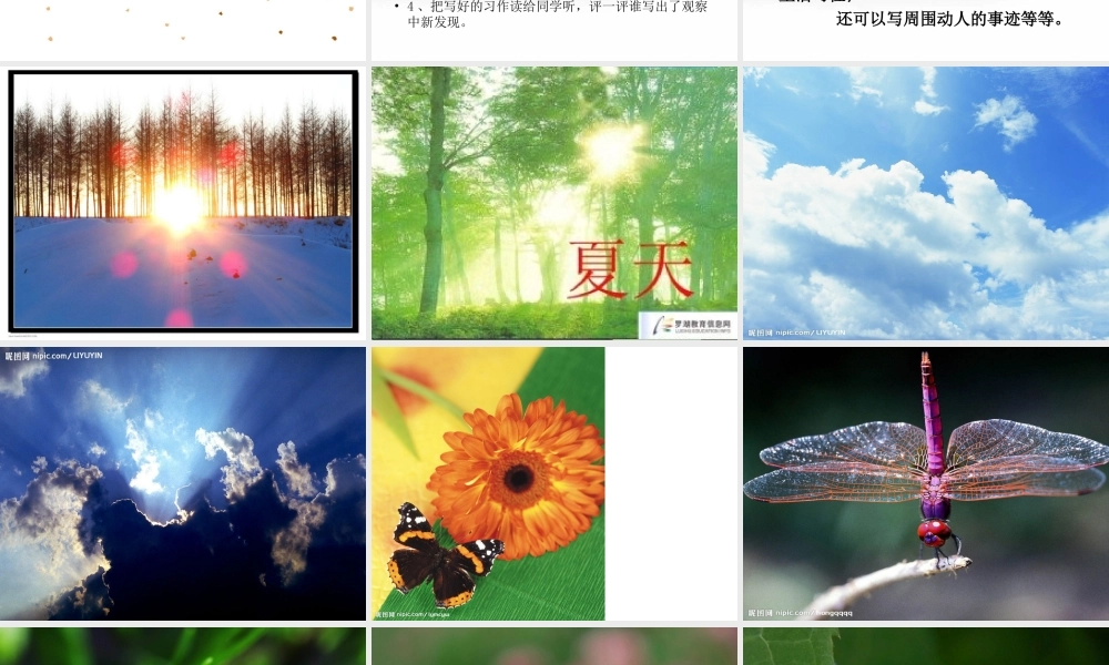 三年级上册第四单元 观察日记 1（猪猪喜羊羊）.ppt