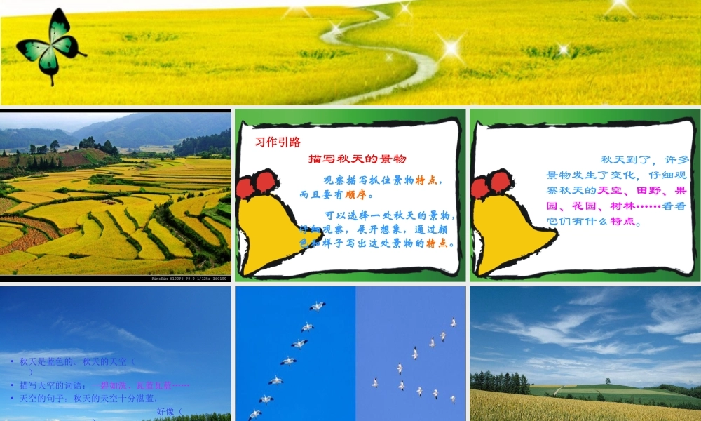 三年级上册第三单元 秋天的图画 3（猪猪喜羊羊）.ppt