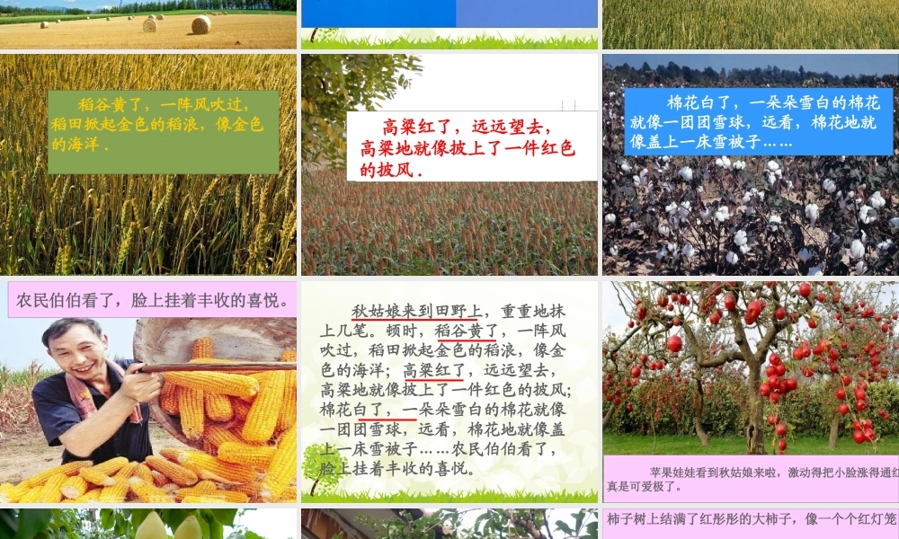 三年级上册第三单元 秋天的图画 3（猪猪喜羊羊）.ppt