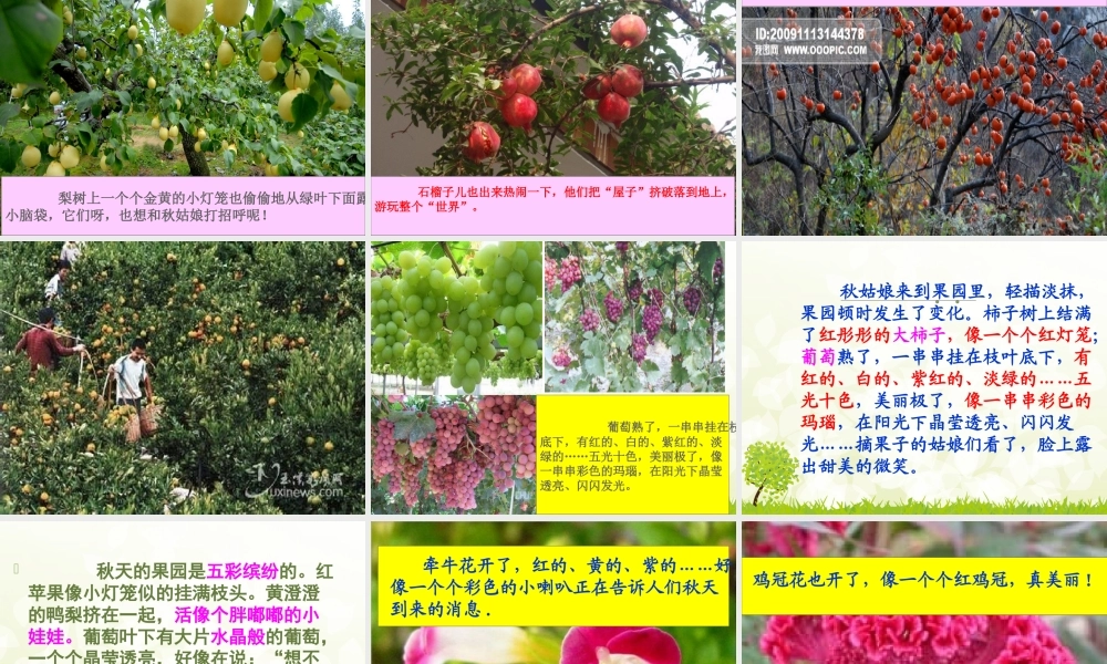 三年级上册第三单元 秋天的图画 3（猪猪喜羊羊）.ppt